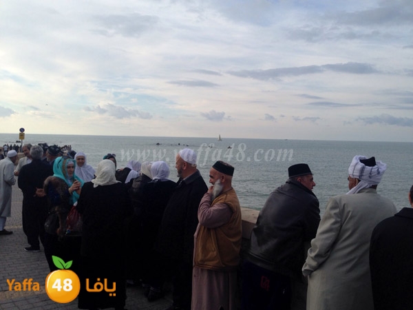 wofod tajekstna (3).JPG